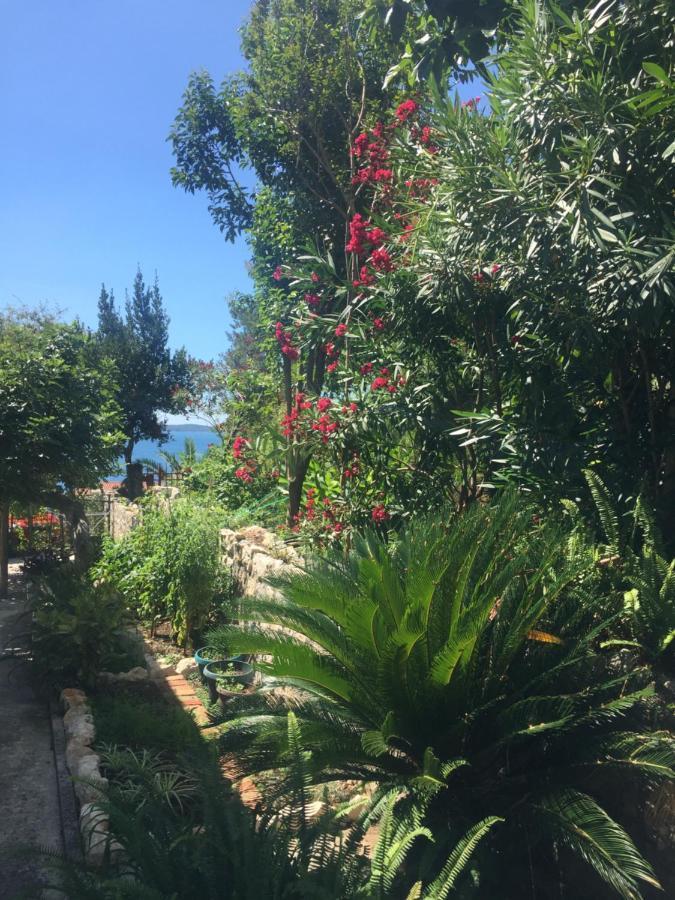 Apartments Milicevic แฮร์เซ็ก-โนวี ภายนอก รูปภาพ